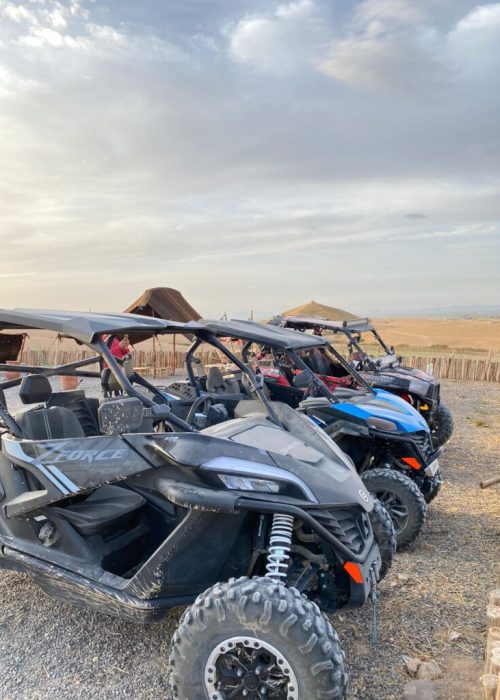 kal tenere buggy 5